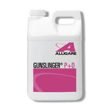 Gunslinger P +D