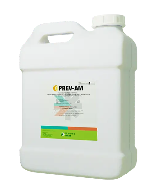 Prev-Am