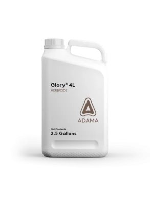 Glory 4L (MTZ)